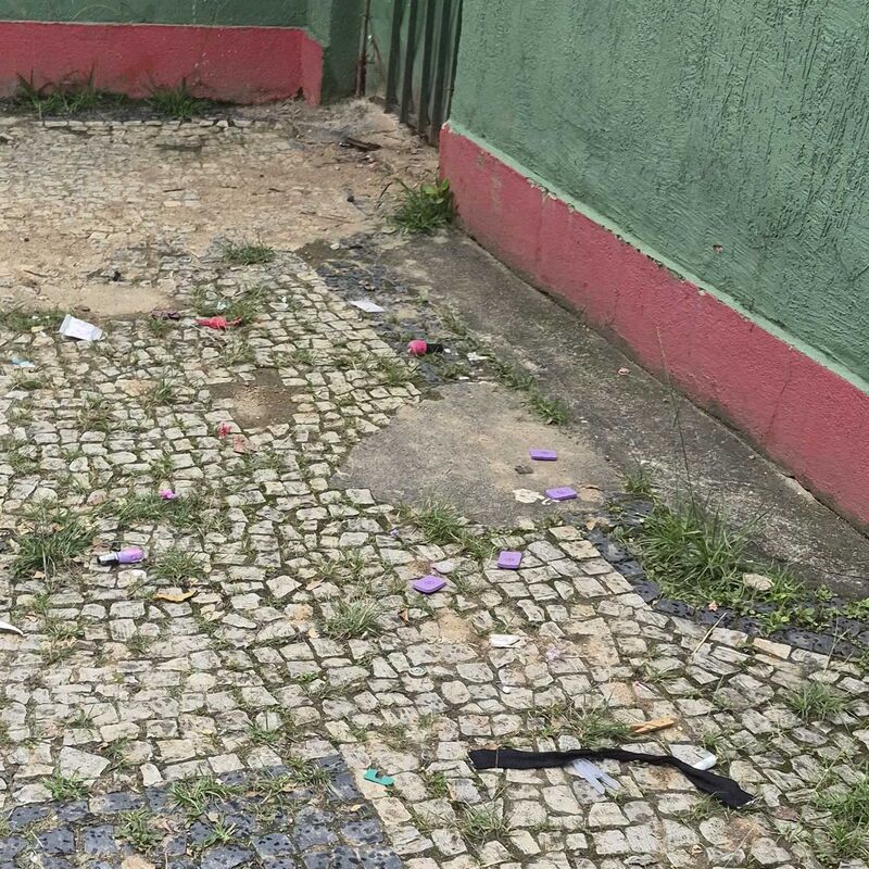 Imagem da publicação