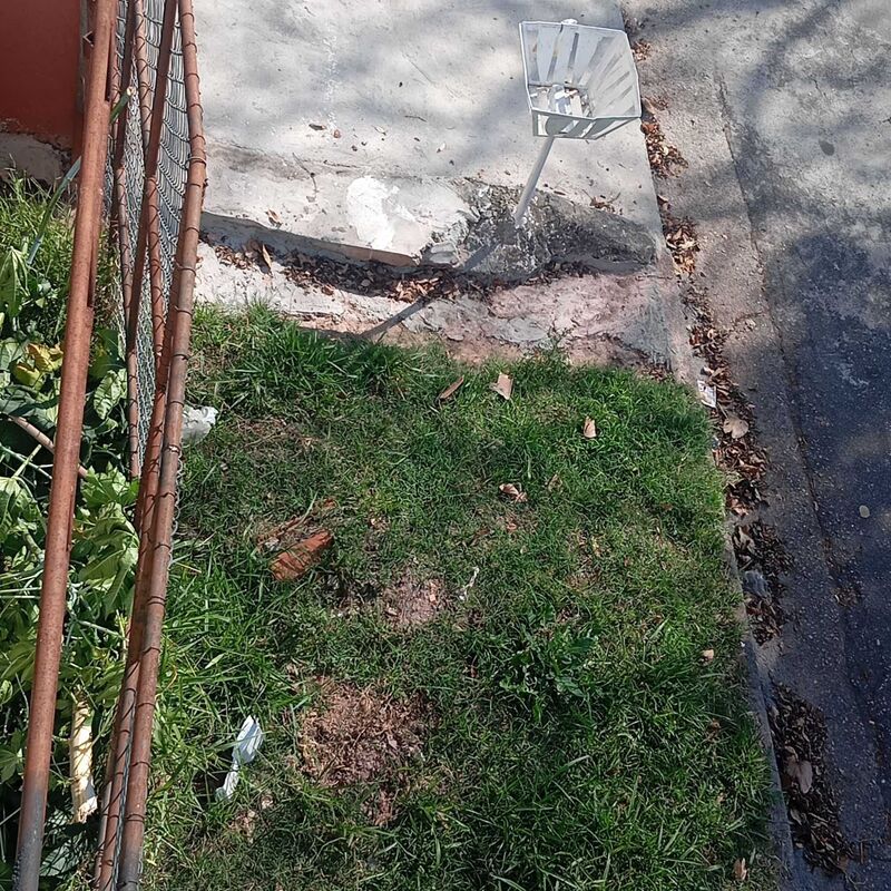 Imagem da publicação