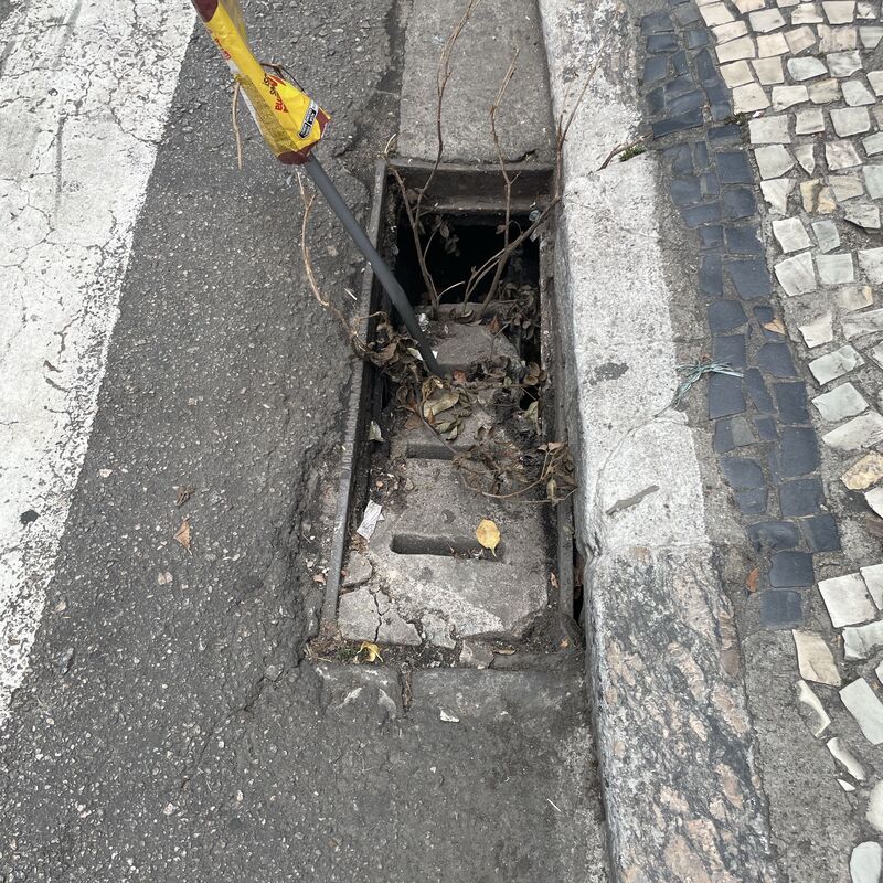 Imagem da publicação