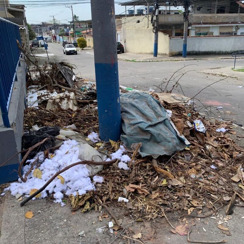 Imagem da publicação