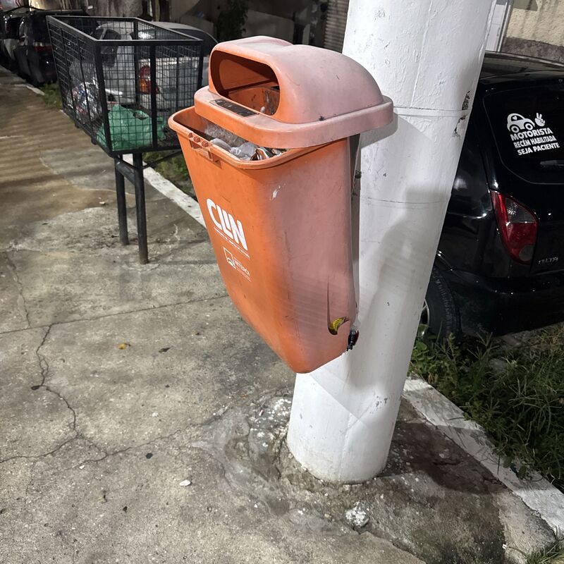 Imagem da publicação