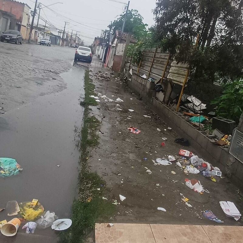 Imagem da publicação