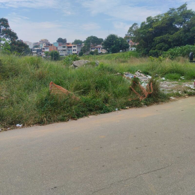 Imagem da publicação