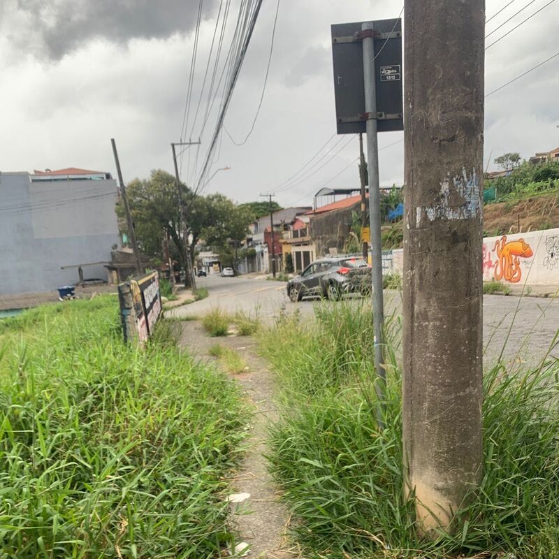 Imagem da publicação