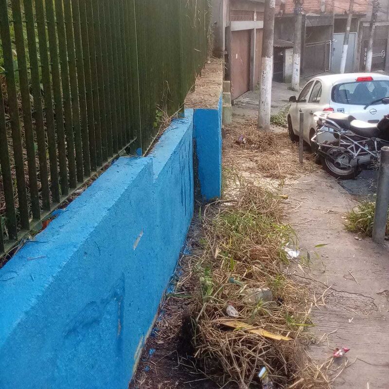 Imagem da publicação