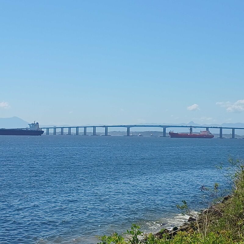 Imagem da publicação