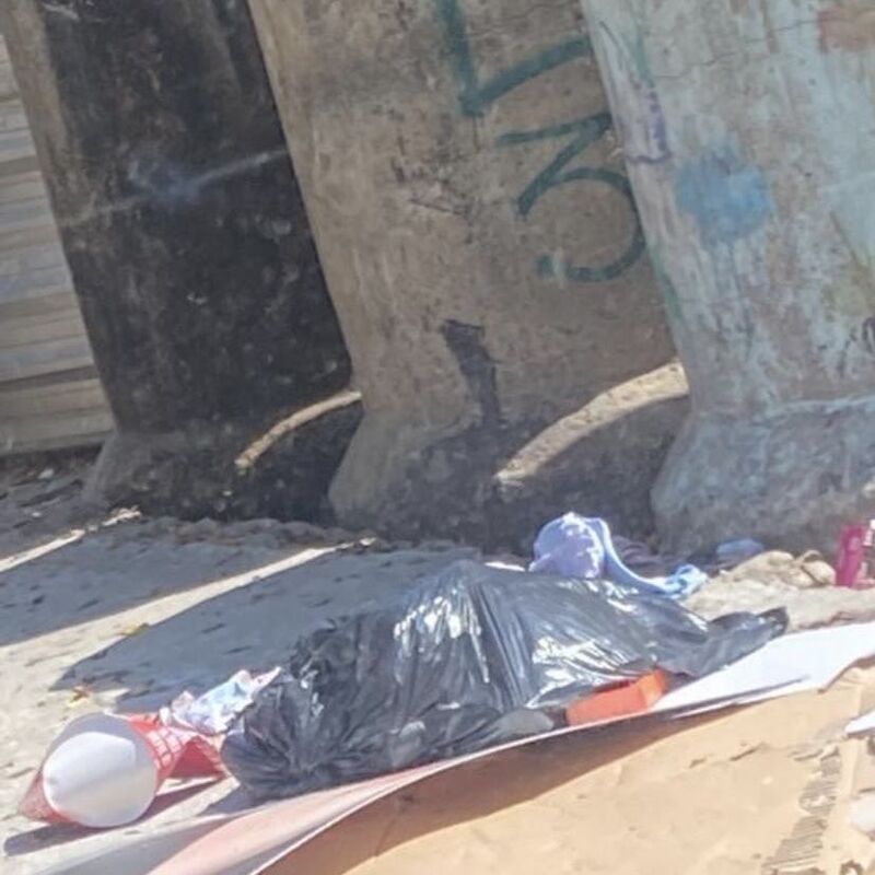 Imagem da publicação
