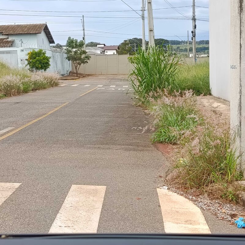 Imagem da publicação