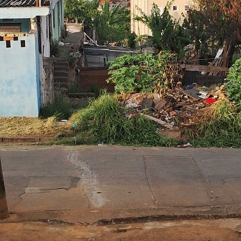 Imagem da publicação