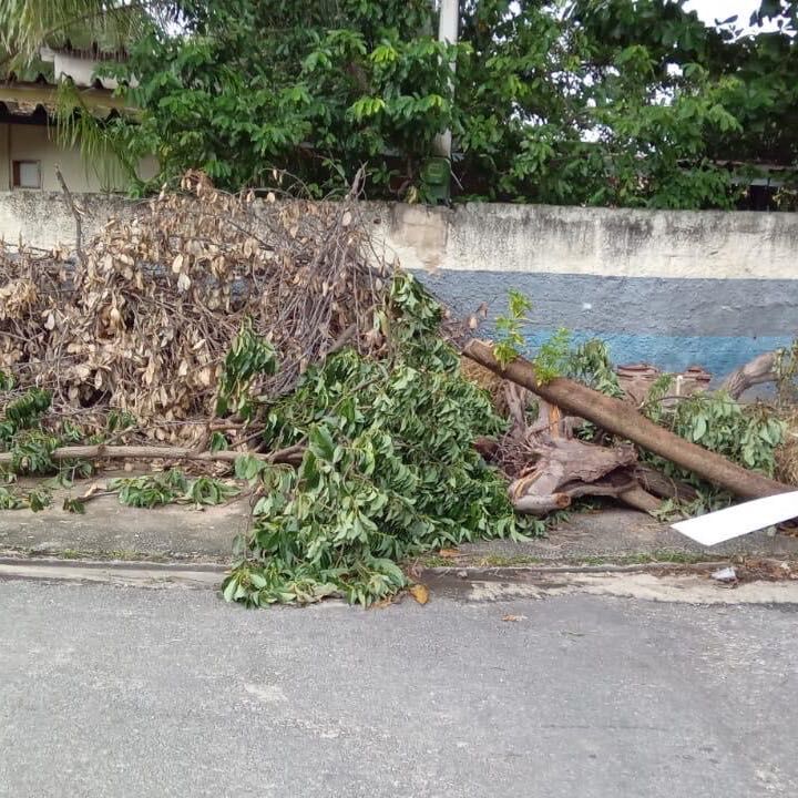 Imagem da publicação