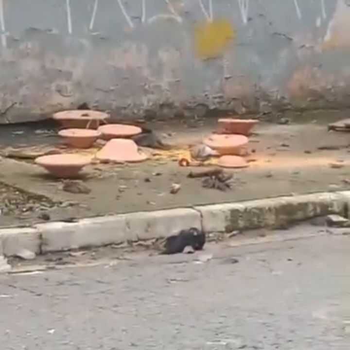 Imagem da publicação