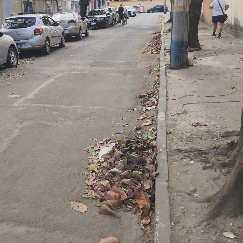 Imagem da publicação