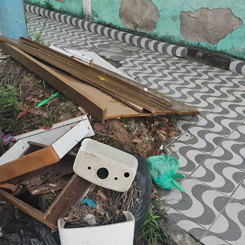 Imagem da publicação