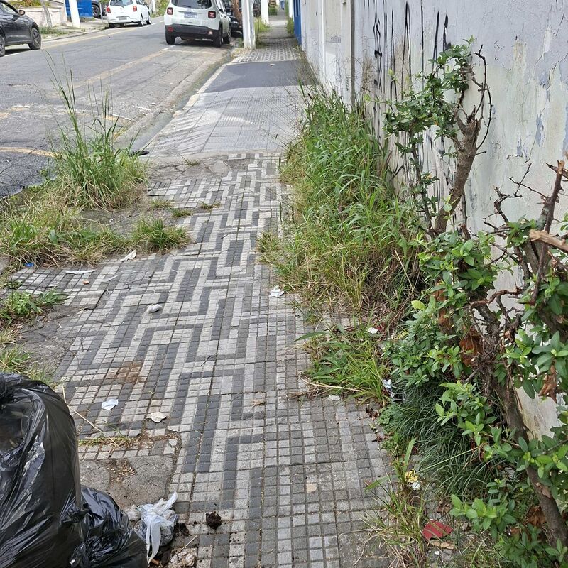 Imagem da publicação