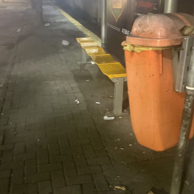 Imagem da publicação