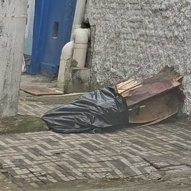 Imagem da publicação