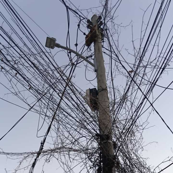 Imagem da publicação