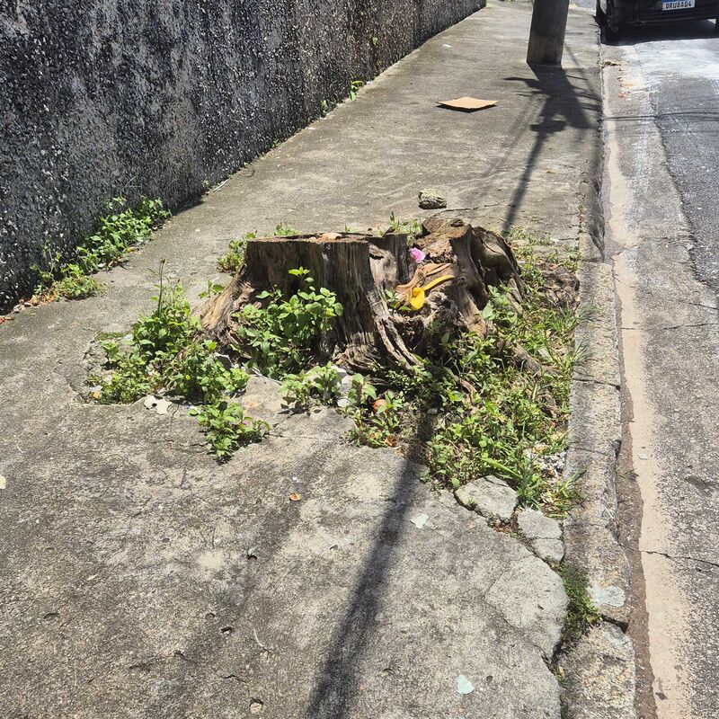 Imagem da publicação