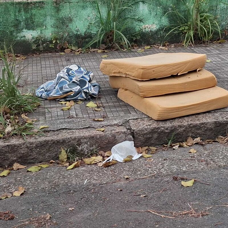 Imagem da publicação