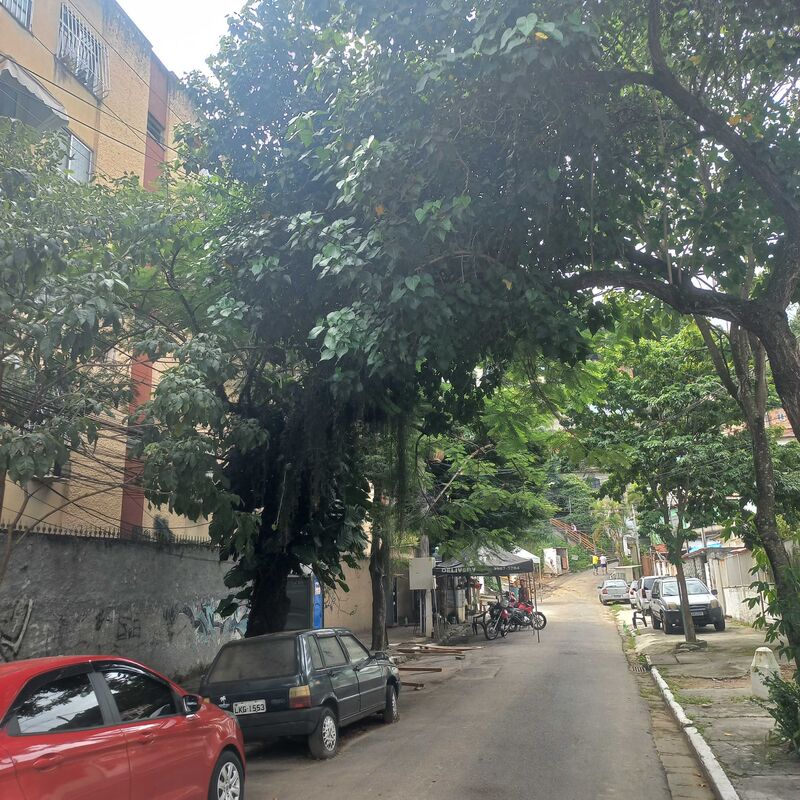 Imagem da publicação