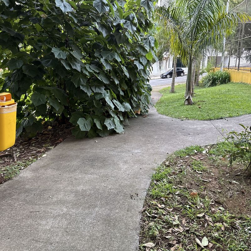 Imagem da publicação