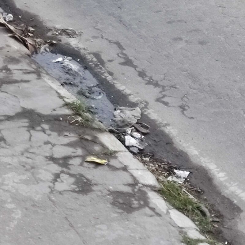 Imagem da publicação