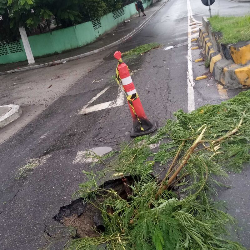 Imagem da publicação