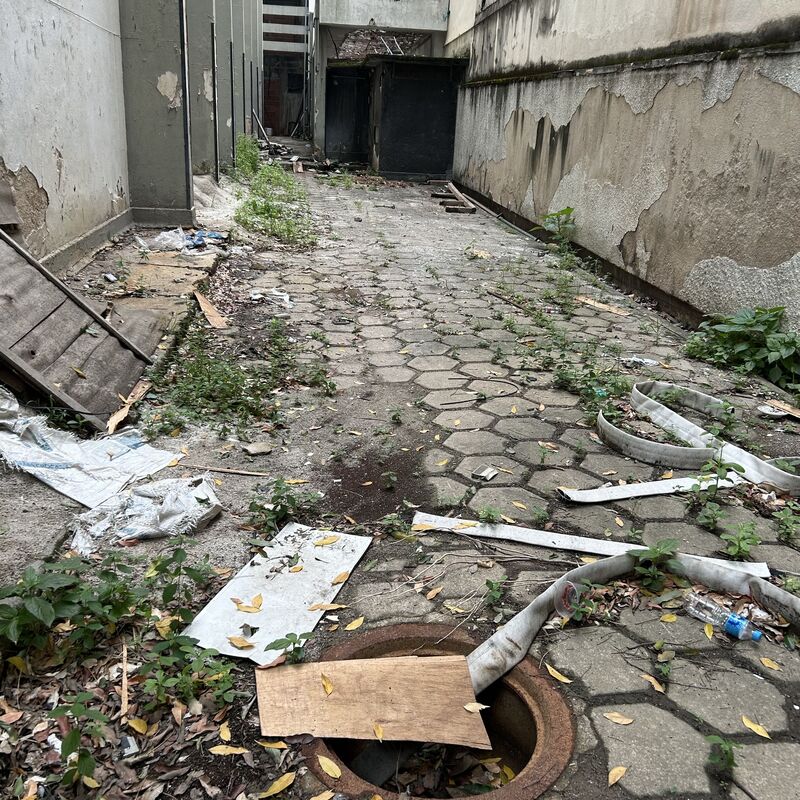 Imagem da publicação