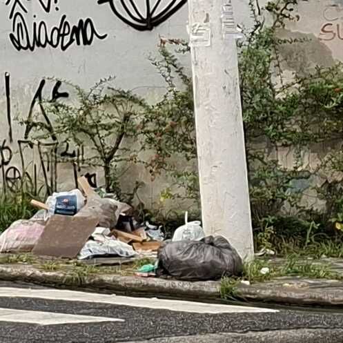 Imagem da publicação