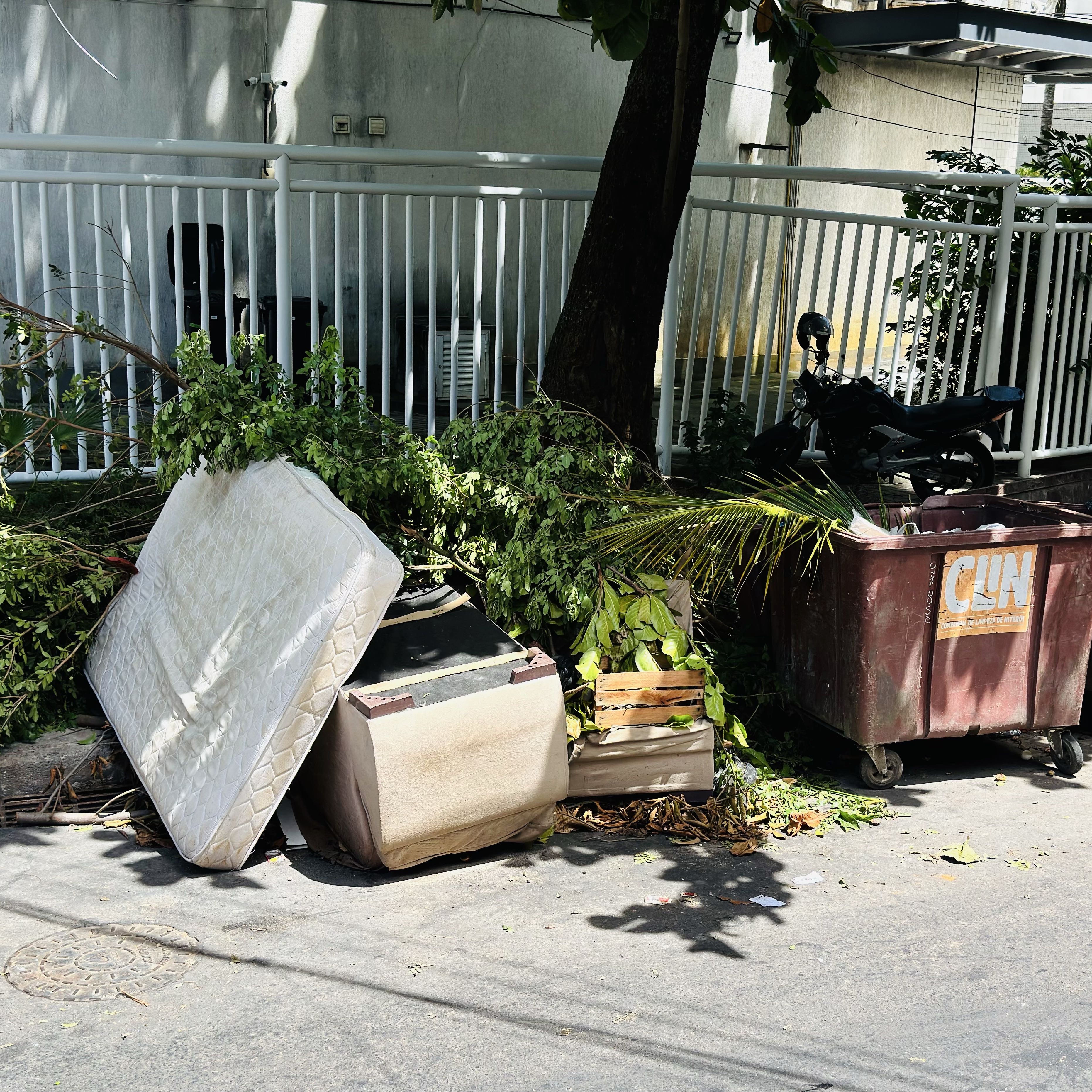 Imagem da publicação