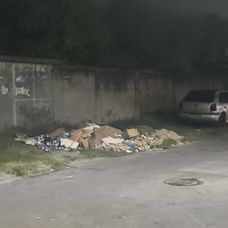 Imagem da publicação