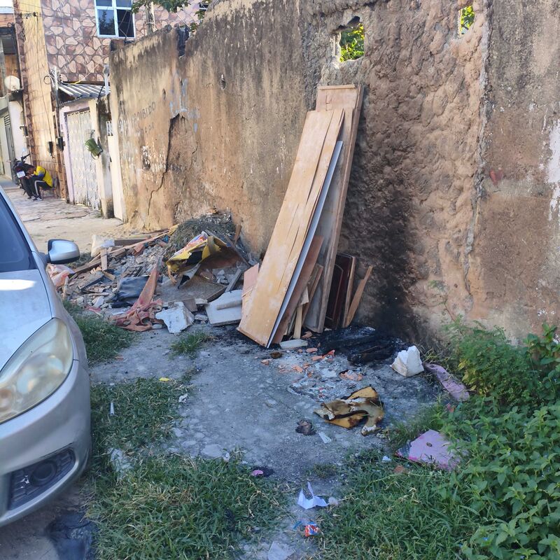 Imagem da publicação