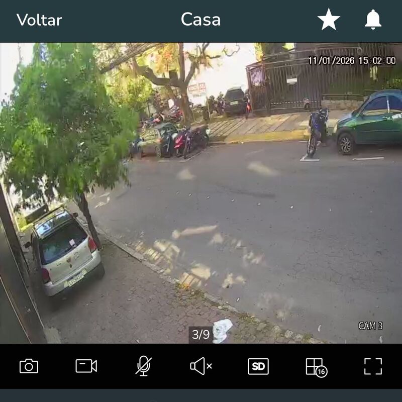 Imagem da publicação