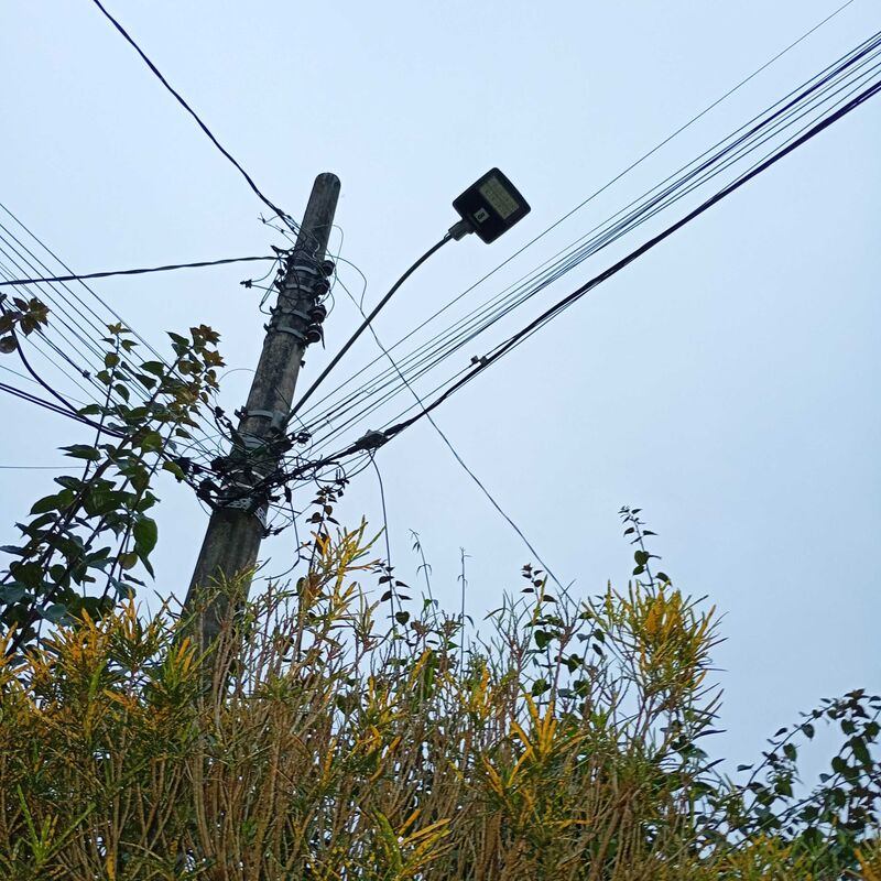 Imagem da publicação