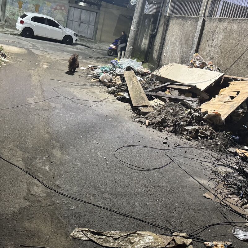 Imagem da publicação