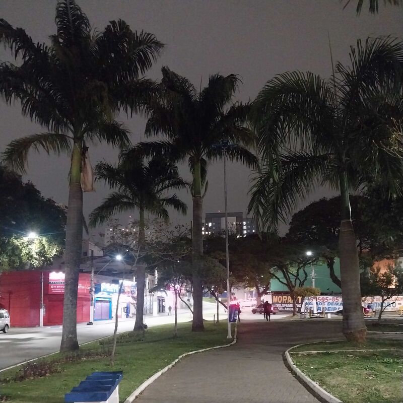 Imagem da publicação