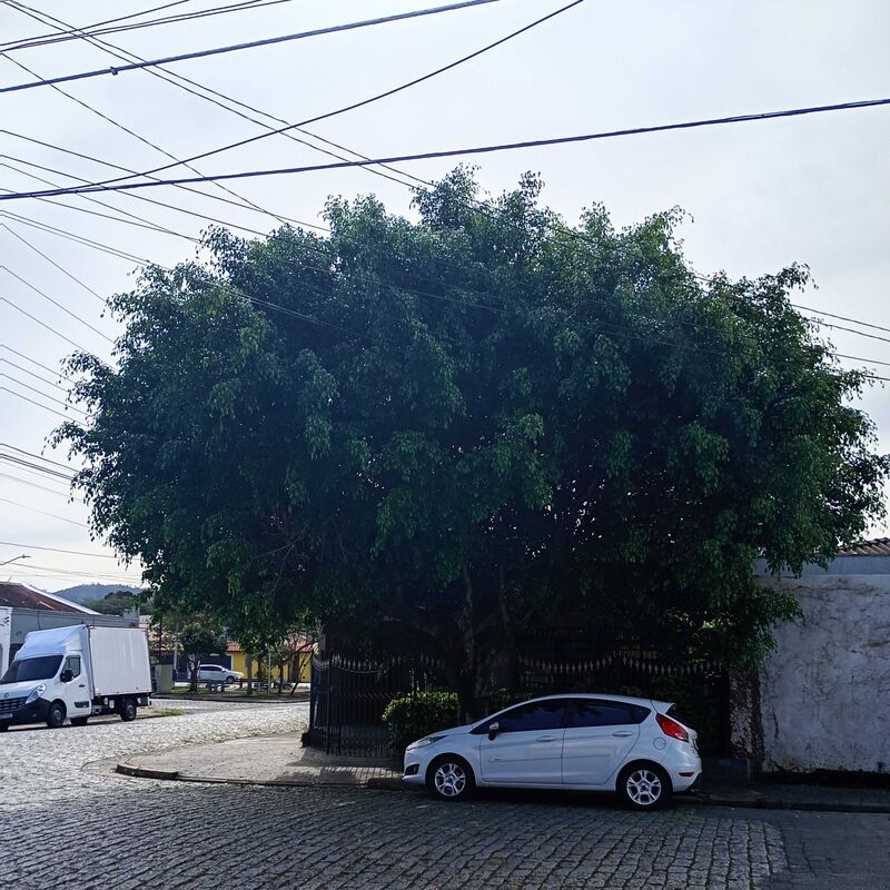 Imagem da publicação