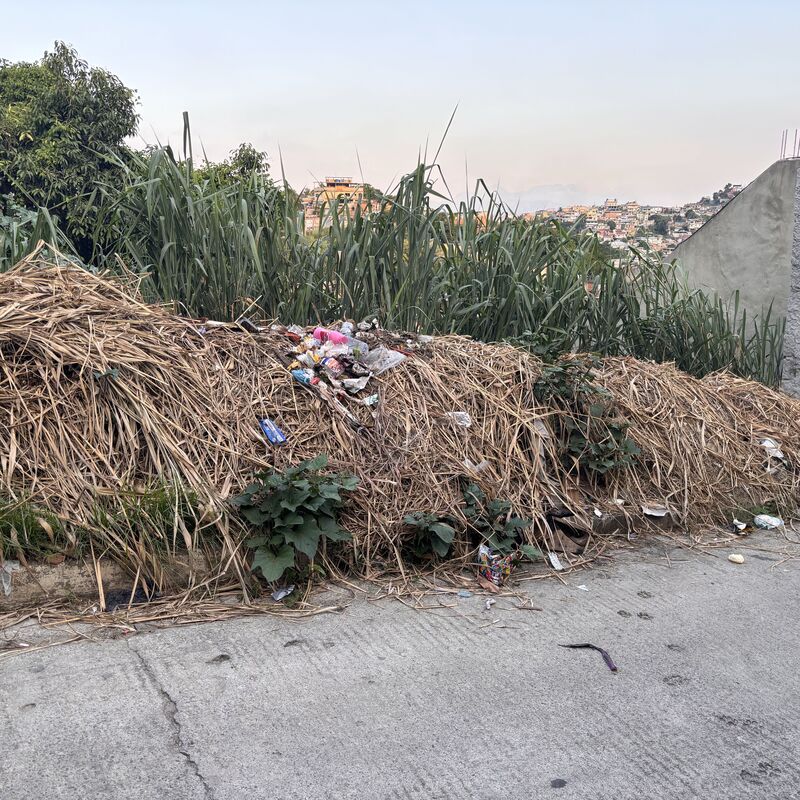 Imagem da publicação