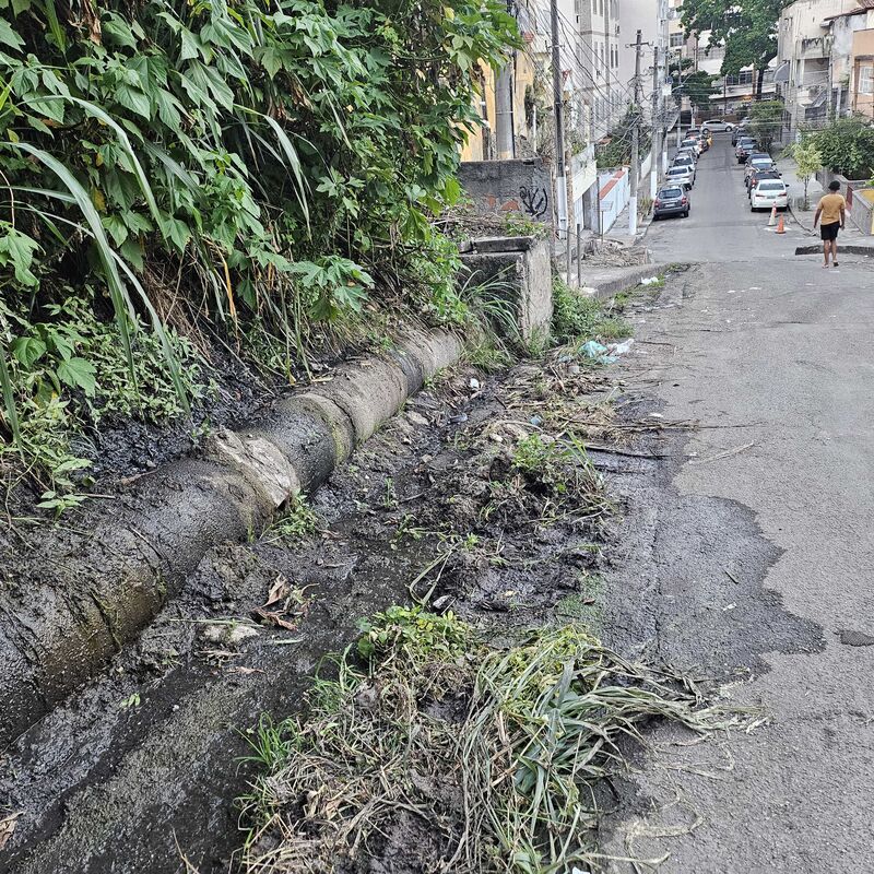 Imagem da publicação