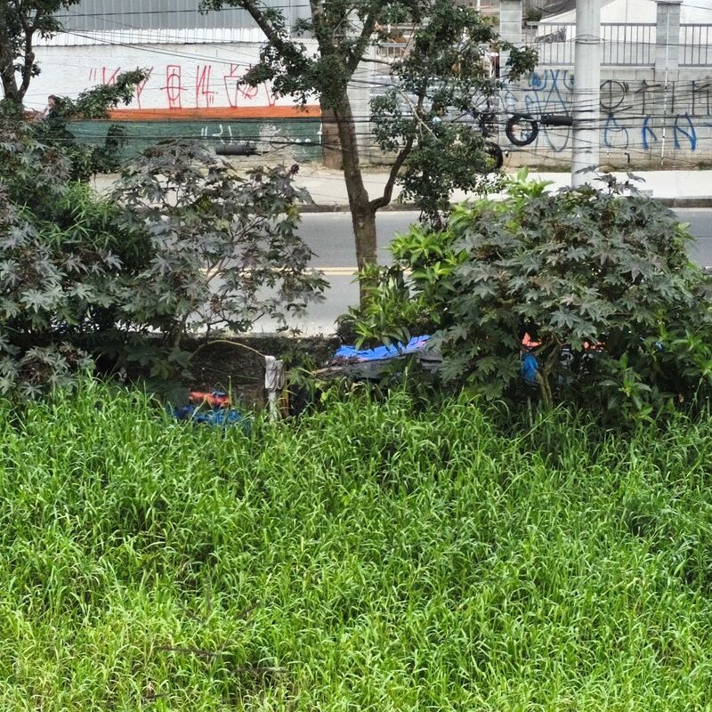 Imagem da publicação