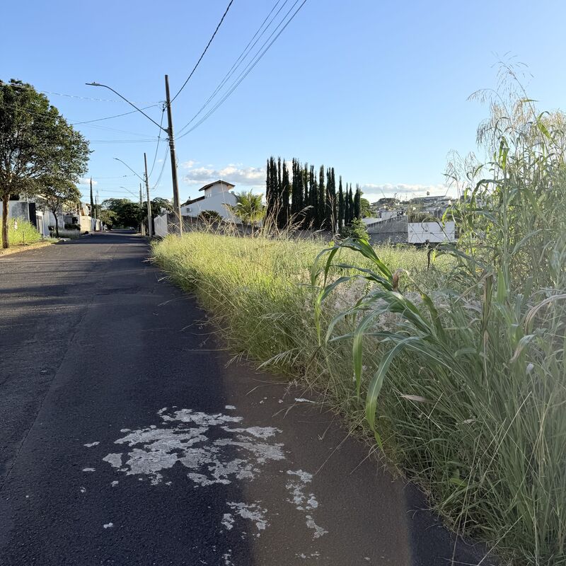 Imagem da publicação