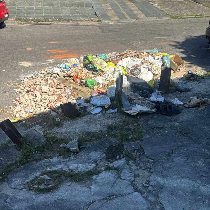 Imagem da publicação