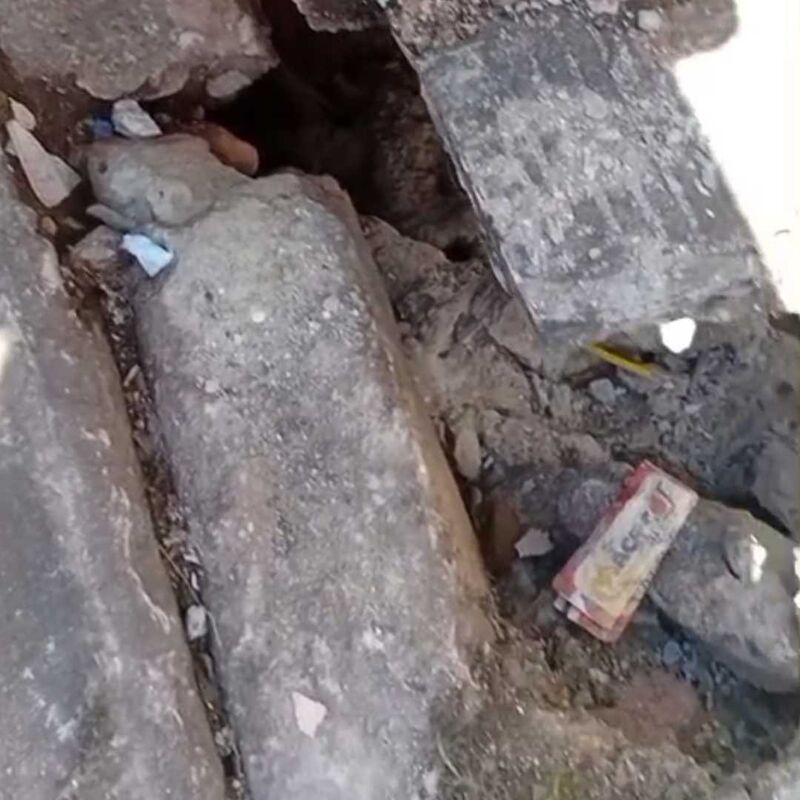 Imagem da publicação