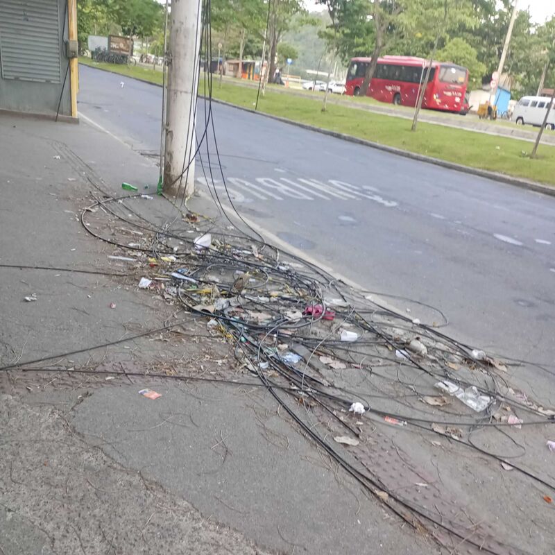 Imagem da publicação