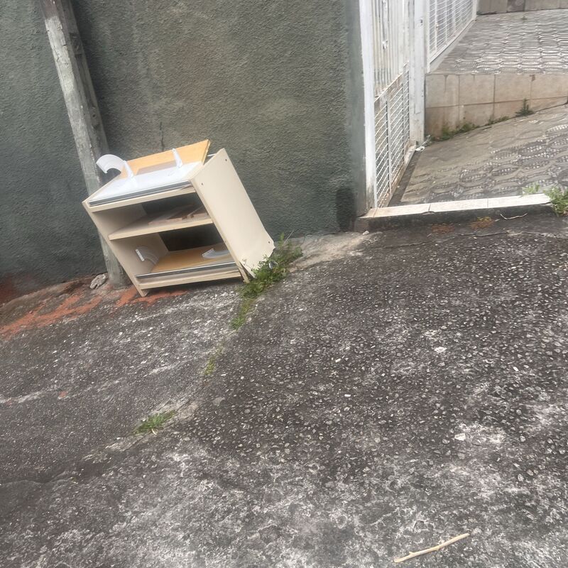 Imagem da publicação