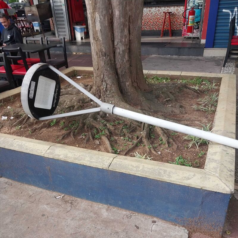 Imagem da publicação