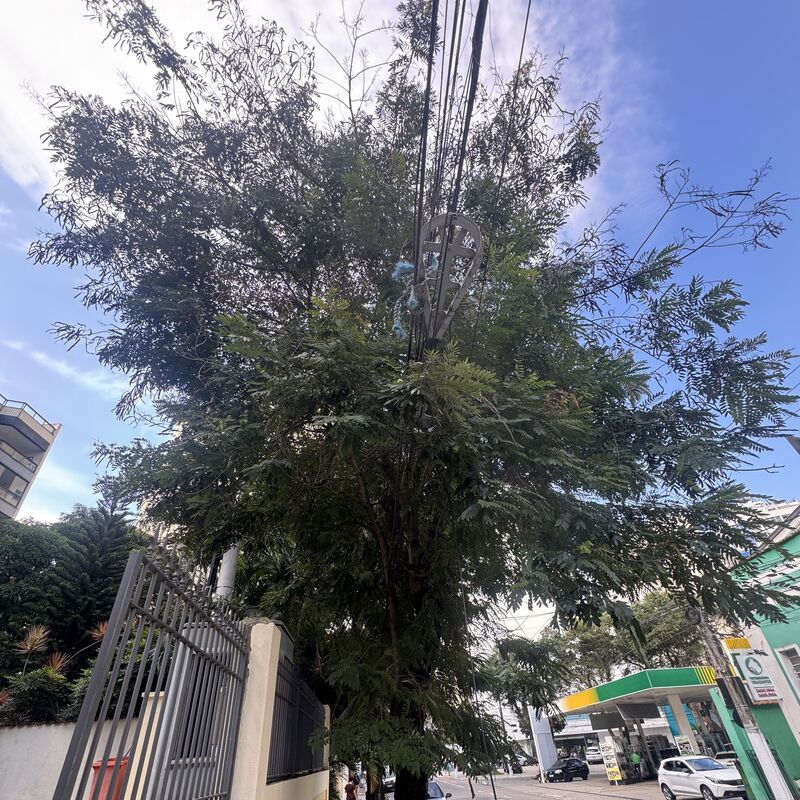 Imagem da publicação