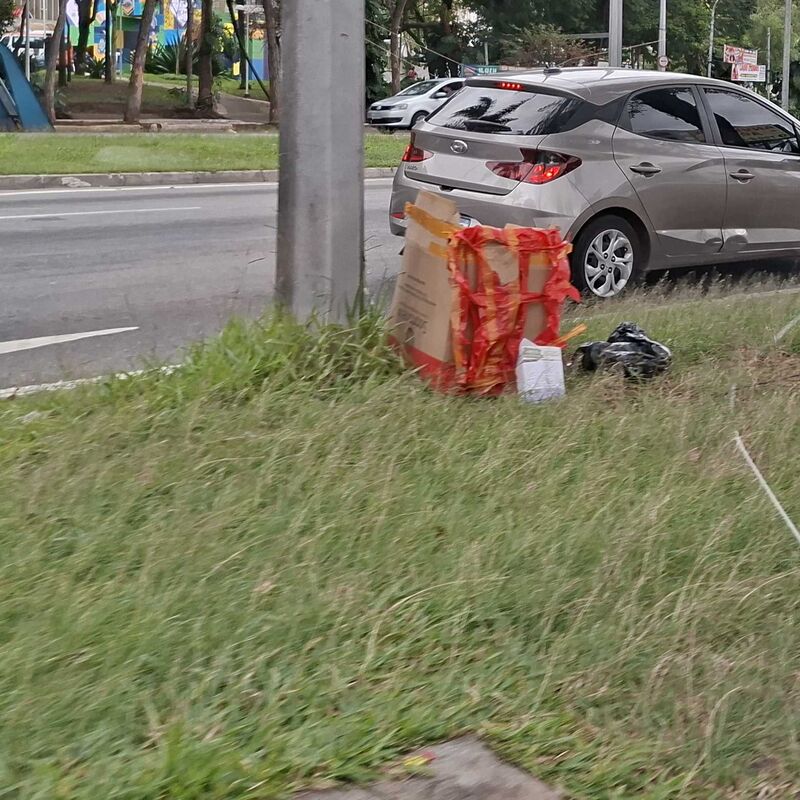 Imagem da publicação
