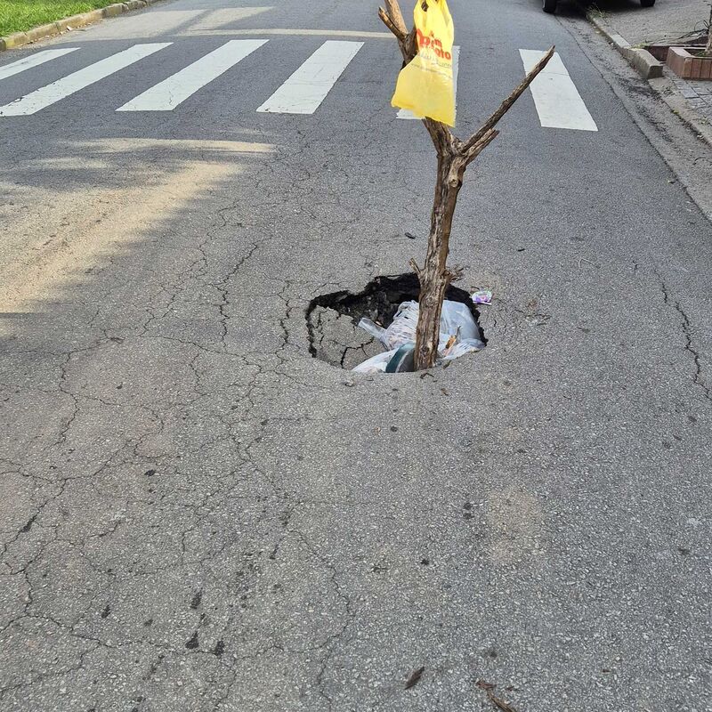 Imagem da publicação