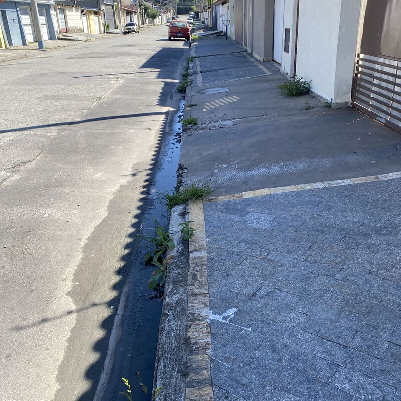 Imagem da publicação